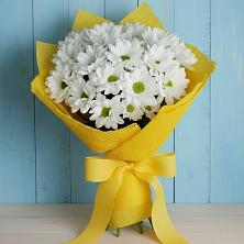 Букет цветов из:  Хризантемы в Лодейном Поле