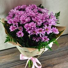 Букет цветов из:  Хризантемы #REPLACE_PRED# Лодейном Поле