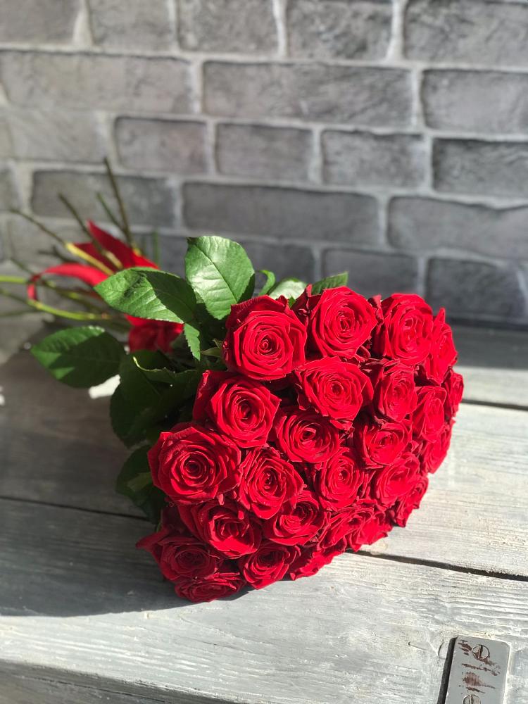 Букет Красные розы Фридом в Лодейном Поле