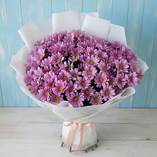 Букет цветов из:  Хризантемы в Лодейном Поле