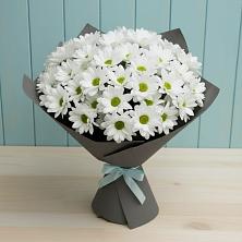 Букет цветов из:  Хризантемы в Лодейном Поле