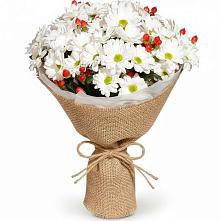 Букет цветов из:  Хризантемы #REPLACE_PRED# Лодейном Поле