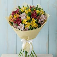 Букет цветов из:  Альстромерии в Лодейном Поле