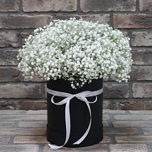 Цветочная композиция из Гипсофила в шляпной коробке #REPLACE_PRED# Лодейном Поле